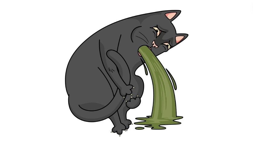 Best Cat Food For Vomiting Cats nutrition cat food Best Cat Food For Vomiting Cats nutrition cat food