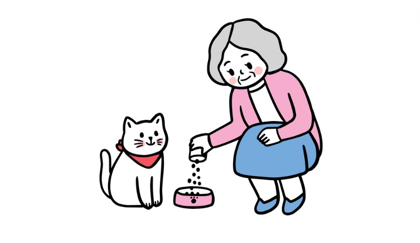 Elderly Cat Diet nutrition cat food Elderly Cat Diet nutrition cat food