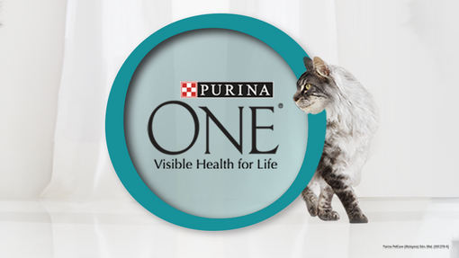 Purina One Cat Food Brand Purina One Cat Food Brand