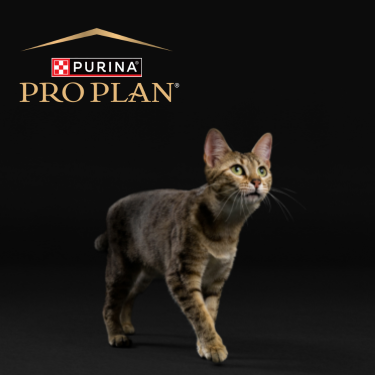 Purina Pro Plan Cat Food Brand Purina Pro Plan Cat Food Brand