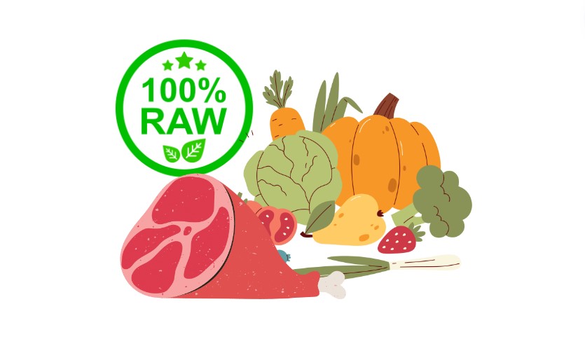 Raw Food Diet For Cats nutrition cat food Raw Food Diet For Cats nutrition cat food