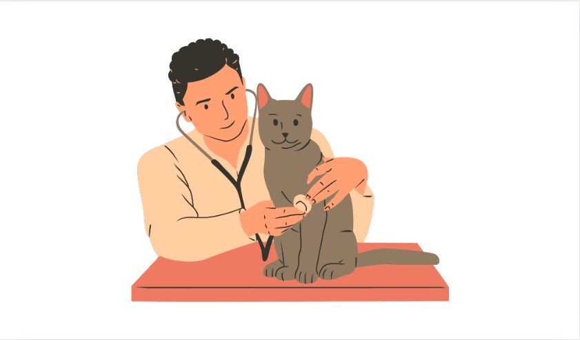 Veterinary Diet Cat Food nutrition cat food Veterinary Diet Cat Food nutrition cat food