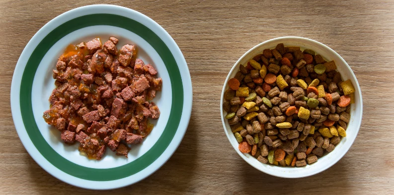 Wet vs Dry Cat Food