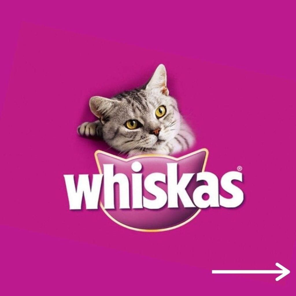 Whiskas Cat Food Brand Whiskas Cat Food Brand
