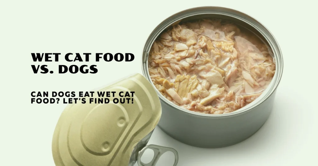 Will Wet Cat Food Hurt a Dog