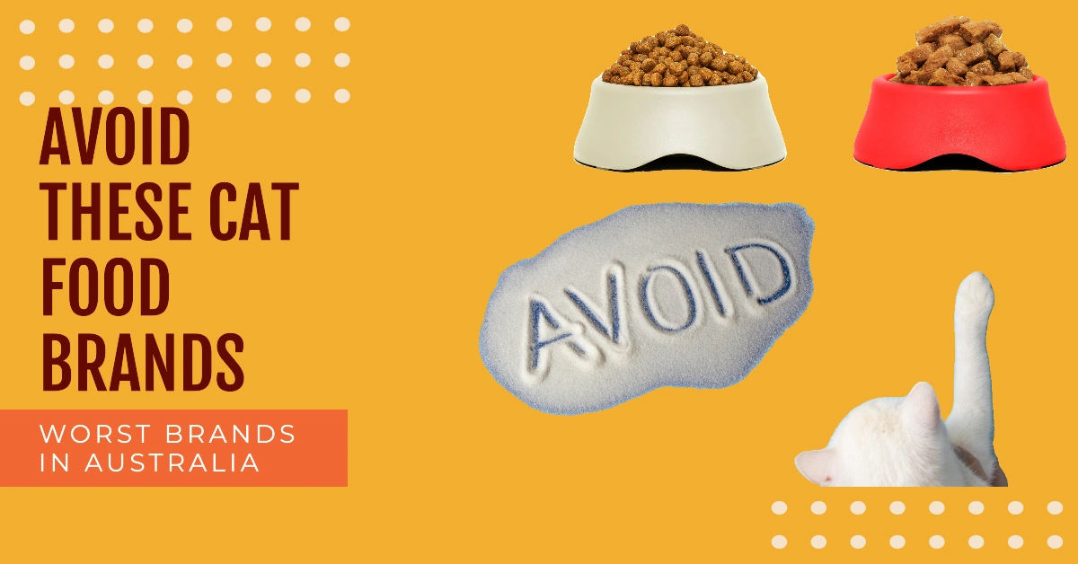 Worst Cat Food Australia Brands to Avoid